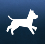 Ikona akceptujemy zwierzęta